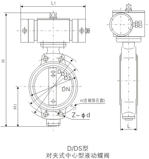 D/DS��Һ�ӌ��Aʽ�о����~���y�����ߴ�