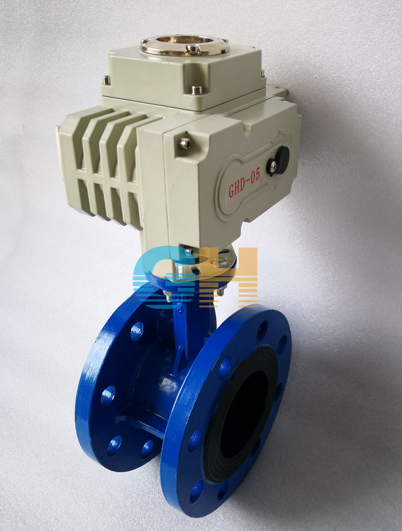 DN80���mʽܛ�ܷ�늄�(d��ng)���y-�侫С��늄�(d��ng)��(zh��)������(sh��)��D��
