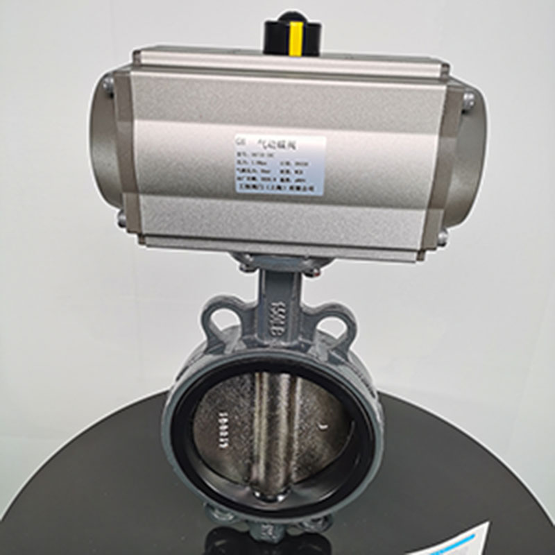 D671X-16C-DN100���(d��ng)���Aʽ���y,���(d��ng)�T䓵�